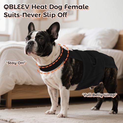 Image of QBLEEV Female Dog Diapers with Adjustable Suspenders - Washable Sanitary Panties for Dogs in Heat or Incontinence, Escape-Proof Reusable Pet Period Underwear Onesie for Small to Large Breeds
