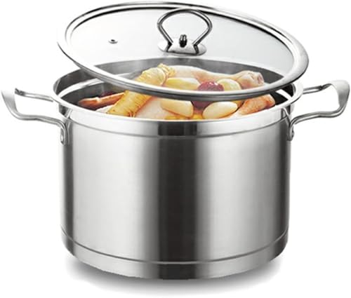 Vexnar ステンレス両手鍋 28cm ガラス蓋付き 蒸し器兼用 シチュー・スープ用ポット 家庭用 食品グレード 耐熱 多機能 (22cm)