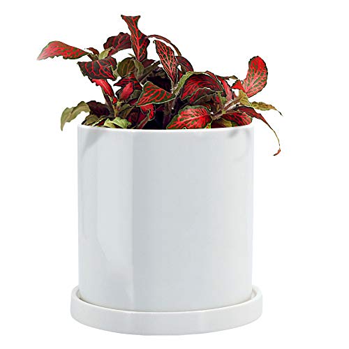 GeLive Cylinder Ceramic Plant Pot, Succulent Planter, Flower Vase, Windowsill Box, Home Accent