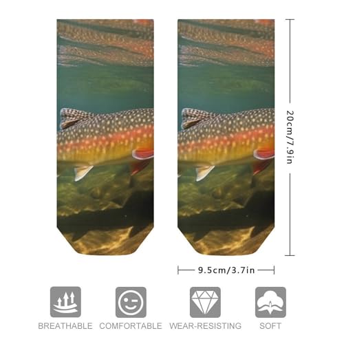 Brook Trout Fly Fishing Socks for Women Men Cotton Sock Soft Short Sock Moisture-Wicking Sock for Running Sports Sock Ankle Socks Low Cut Thin Sock2