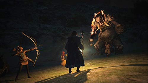Dragon S Dogma Dark Arisen Nintendo Switch Capcom U S A Inc Everything Els Amazon Com
