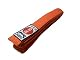 Judogürtel Budodrake in Orange mit Judo-Label