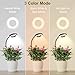 Wolezek 2 in 1 Grow Lights for Indoor Plants, 3 Colors Plant Lights with 360 Gooseneck, 48 LEDs Full Spectrum, 6/12/16H Timer, 5 Brightness, Black 3 Pack