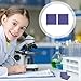 Mipcase Cobalt Glass Sheet 1.96 X1.96 for Flame Color Reaction Experiment Blue Cobalt Glass for Laboratory and High-Temperature Applications