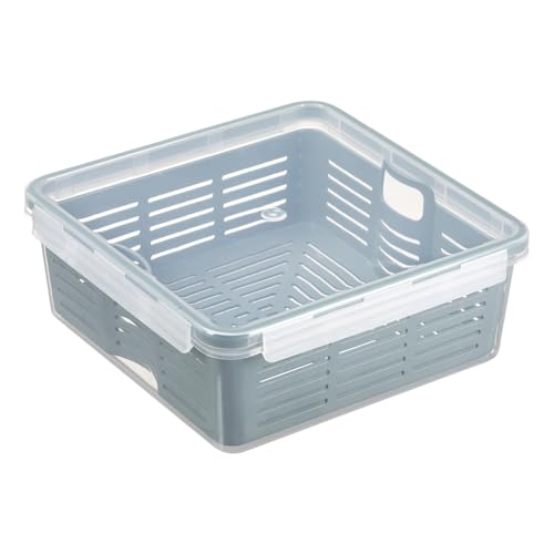 Plast Team Boîte de conservation avec égouttoir, 2,5 litres, hermétique, fermeture à clic, passe au lave-vaisselle, au réfrigérateur et au congélateur,...