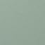 Leather Agave Green