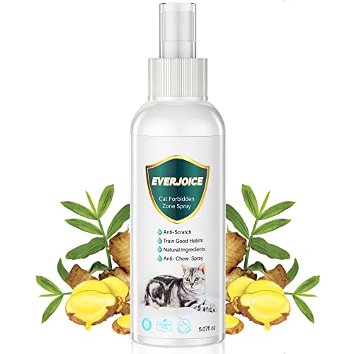 Top 10 Best Deterrent Spray For Cats Reviews & Buying Guide Katynel