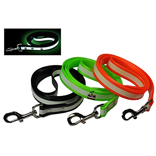 Downtown Pet Supply - Glow In The Dark Dog Leash - Reflective Cat Leash - Durable Tpu With Metal Hardware - Solar Charge - No Batteries - Water-Resistant - 5 Ft - Black Dog Leash #TOP25