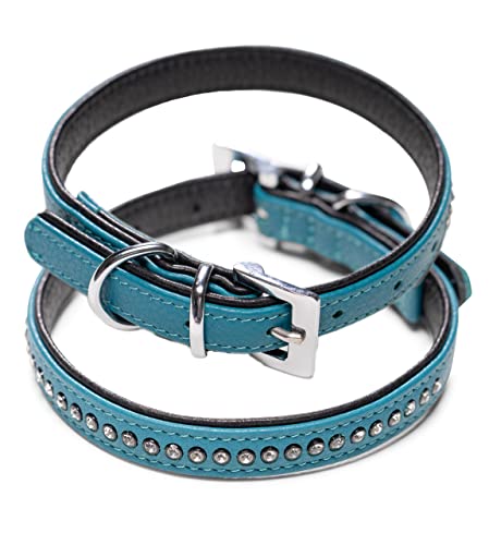 Hundehalsband aus Echt-Leder mit Strasssteinen/Kristall besetzt – funkelndes Hunde und Katzen Halsband aus gepolsterten und doppellagigen Büffelleder - Lederhalsband Audrey (S (20.0-27.5cm), Türkis)