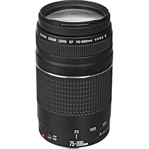 Canon EF 75-300mm f/4-5.6 III Telephoto Zoom Lens for Canon SLR Cameras, 6473A003 (Renewed)
