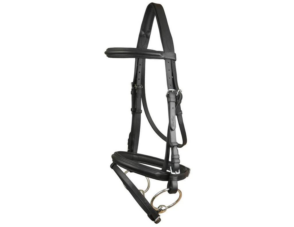 DaVinci Raise Comfort Dressage Bridle/Flash Horse