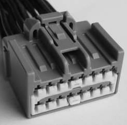 Motorcraft Assemblage de fils WPT645 connecteur queue pour véhicule