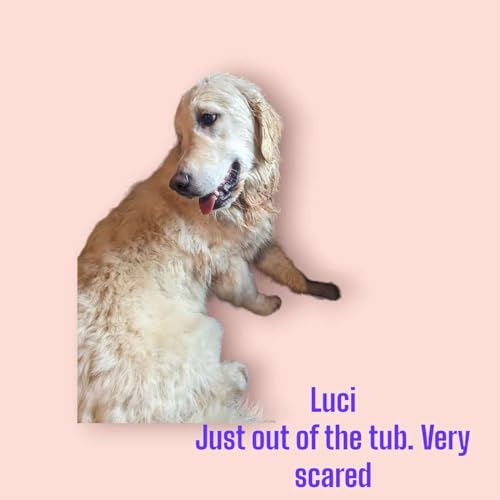 Depressed, dog? Not anymore.