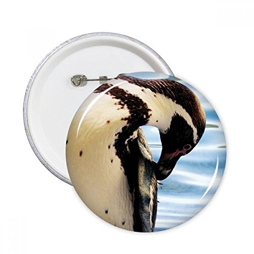 Badge Océan Antarctique Penguin multicolore - Broche ronde nature science XXL x5