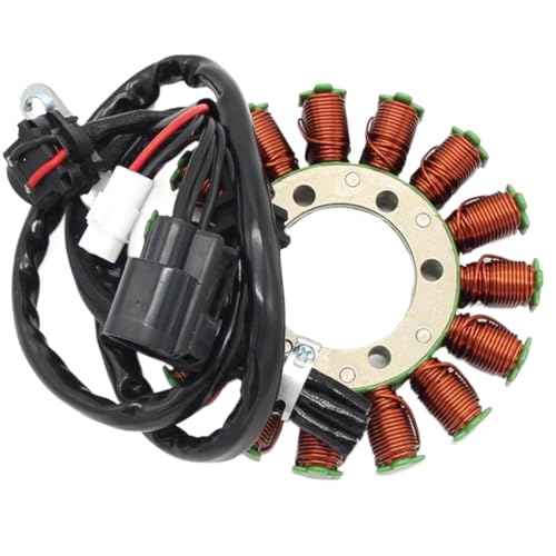 Bobina del estator de encendido con materiales de alta densidad 750 3