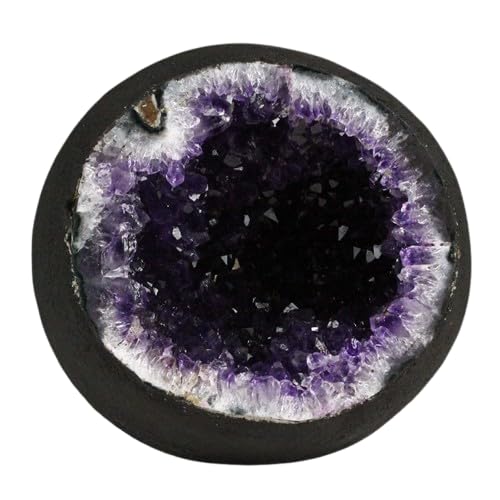 yVR΁z2.8Kg AWXgh[ EOACY 174-2058