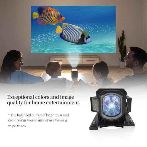 image for SORNEICDR DT01021 Replacement Projector Lamp Bulb Compatible with Hita