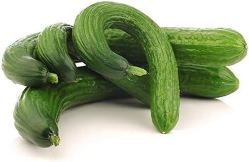 Cucumber Chinese Slangen Seeds - Cucumis sativus -