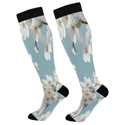 Nander White Cherry Blossom Tree Compression Socks Women Men Knee High Stockings for Sports,Running,Travel 1Pair
