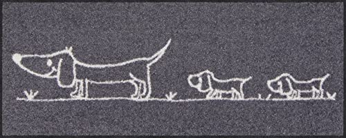 Salonloewe Schuhparkplatz Hereingedackelt 030x075 cm Fußabtreter Sauberlaufmatte draußen Fussmatte...