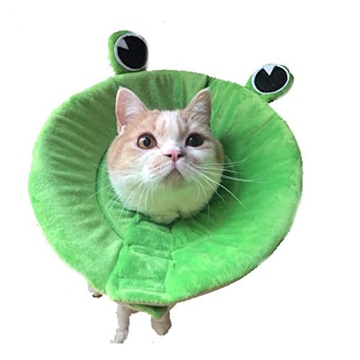 Bello Luna Cuello electrónico de recuperación de Cono Suave para Perros y Gatos con Forma de Rana (Talla S)