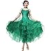National Standard Dance Costume Women Lyrical Dance Costumes Halter Neck Shoulder Mesh Flowy Big Swing Skirt (XXXL,Green)