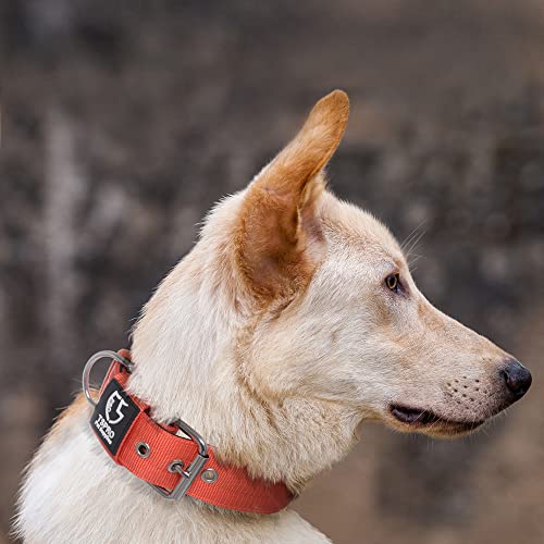 TSPRO Taktisches Hundehalsband, Robustes Halsband für Hunde mit Metallschnallenverschluss, 3,8 cm Breit, Verstellbar und Dick für Mittel bis Großgroße Hunde (Orange L)