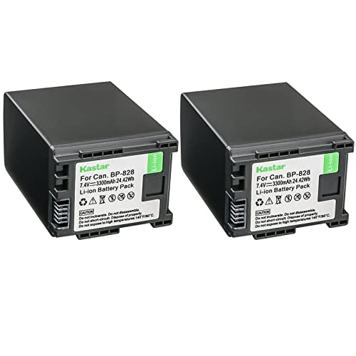 Kastar BP-828 Battery 2-Pack for Canon Camcorders