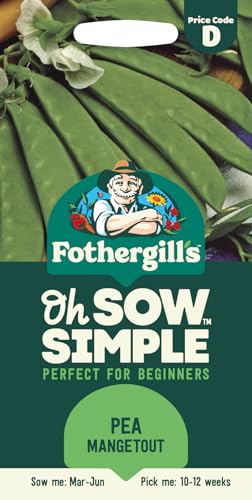 Fothergill's Oh Sow Simple, Pea Mangetout Vegetable Seeds, Sow: Mar–Jun, Green