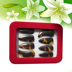 STOBOK 1Set Débutants Ukulélé Pouce Médiators Protecteurs Couverture Choisir Pratiquant Enfants Naturel-Imité pour… - Les Beatles, Paul McCartney, John Lennon, RIngo Starr, George Harrison STOBOK 1Set Débutants Ukulélé Pouce Médiators Protecteurs Couverture Choisir Pratiquant Enfants Naturel-Imité pour… – Image 6