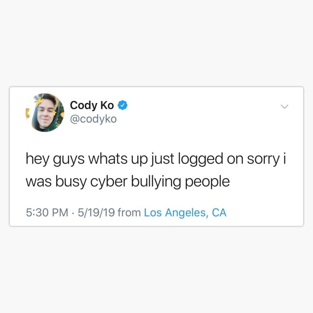 Cody Ko Cyber Bully Sticker Vinyl Waterproof Sticker Decal Car Laptop Wall Window Bumper Sticker 5"