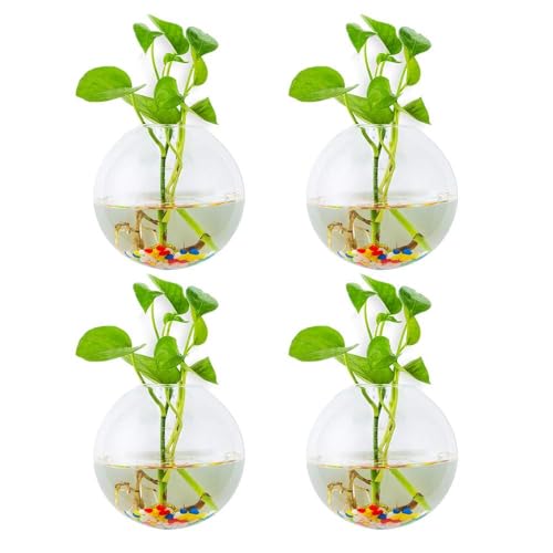 Glasseam Hängende Blumenkästen aus Glas, 4 Stück, kugelförmig, Blumentöpfe, Terrarium, Behälter, Vase, mit bunten Steinen… – Ansicht 1