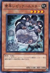 遊戯王カード お早めに！ Amazon.co.jp: 遊戯王カード 素早いビッグハムスター EXP3-JP034N : ホビー