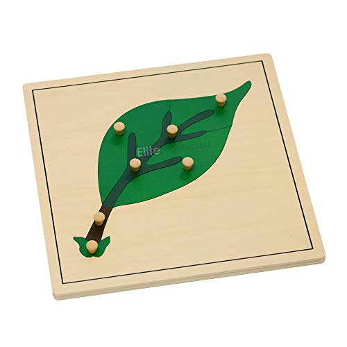 Elite Montessori Leaf Puzzles Toy for Preschool Early Child Development Learning Material