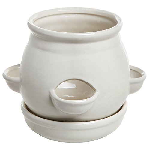 MyGift White Ceramic Strawberry Planter with Saucer #TOP17