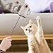 Genérico Pájaros para Gatos Caseros Imagen de Genérico Pájaros para Gatos Caseros
