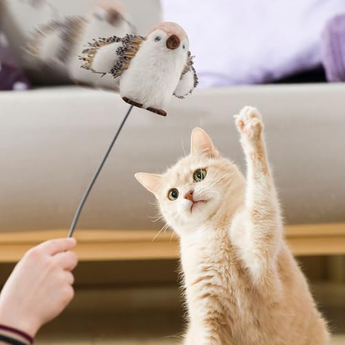 Jouet interactif pour chats exercice autonome contre la sédentarité domestique - 3