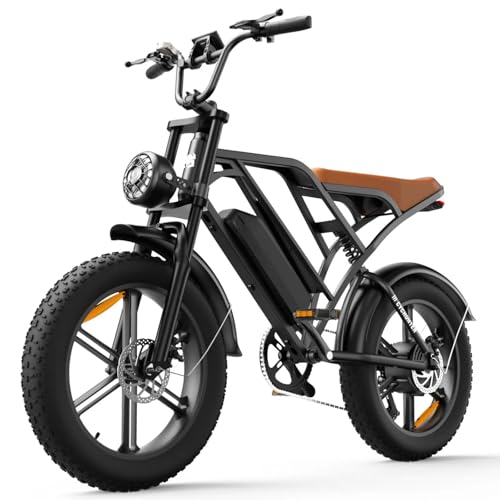 Flydone Electric Bike for Adults,16"/20" Fat Tire 1500W 55+ Miles