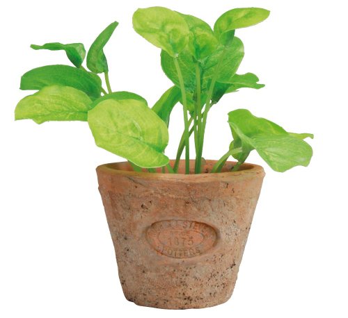 Esschert's Design AH007 Small Artificial Aged Terracotta Pot - Basil
