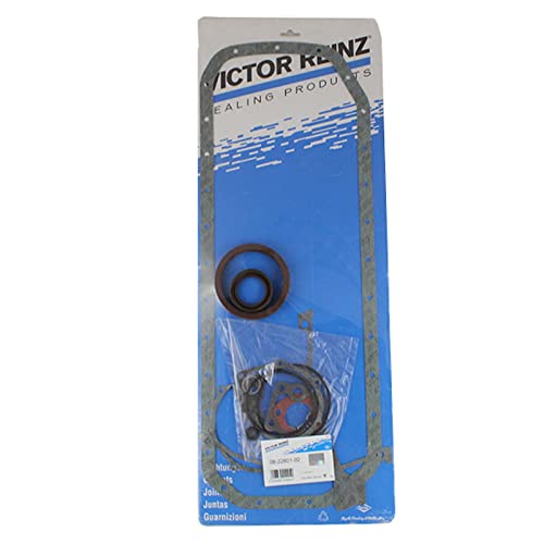 Reinz 08-22601-02 Gasket Set, Crankcase