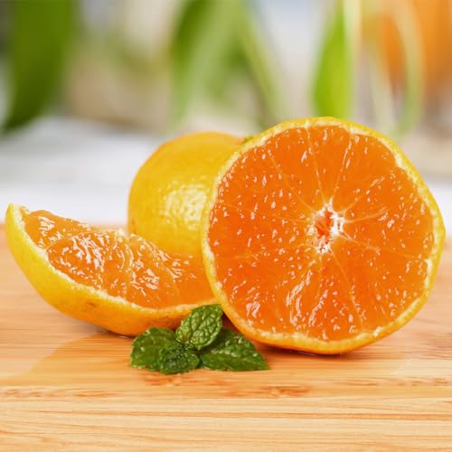 みかん 蜜柑 ギフト お歳暮 クリスマス 秀品 高級 贈答用 甘い 高糖度 S-Mサイズ 薄皮 ミカン (3kg)