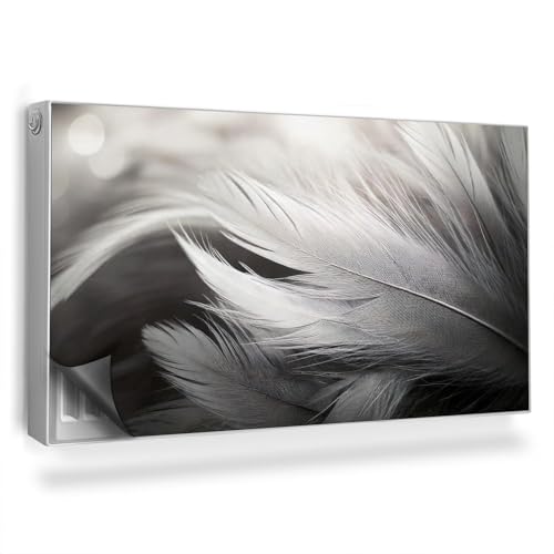 Tapis pour Radiateurs Facile à Installer Plumes Noires et Blanches - 2