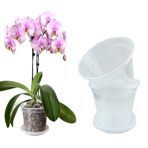 Mesoar 17cm Orchid Pots,Clear Plastic Orchid Pots with Holes and Saucers for Plants Flower Nursery Pots for Orchid Repotting Indoor and Outdoor Use (6