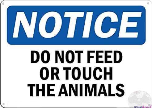 Street Sign Warning Plaque Do Not Feed Or Touch The Animals Metal Tin Sign Wall Art Decor Safety Warning Signs for Outdoor & Indoor Office Sign 8 X 12 Inch