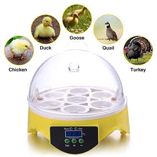 Top 10 Best Egg Hatcher in 2024 Reviews by Experts