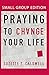 Praying to Change Your Life (Small Group Edition)