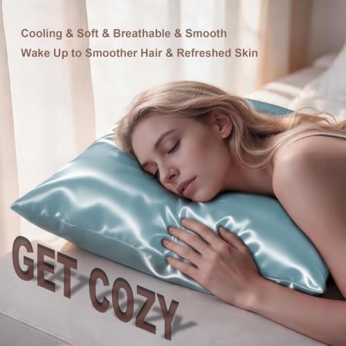 Image of LYSHIN Silk Pillow Cases Standard Size with Hidden Zipper, Haze Blue | 19 Momme Mulberry Silk Pillowcase for Skin and Hair, Anti-Acne, Hypoallergenic, Cooling, Beauty Sleep, Gifts for Women