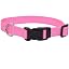 Pink Bright