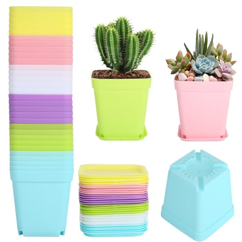fengxuanwl 30 Stück Anzuchttöpfe, Transparente Pflanztöpfe mit Untersetzer, Ø 7cm Kunststoff Vierkant Mini Töpfe, Anzucht Ackig Klein für Samen, Sukkulenten, Setzlinge (Mehrfarbig)