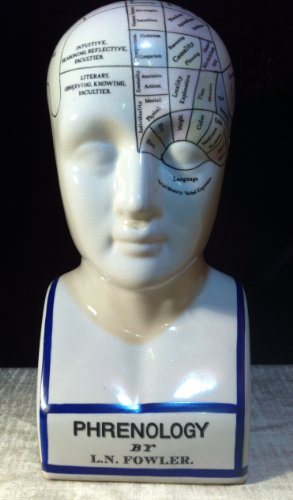 phrénologie tête phrenologische Porcelaine Buste Idée Cadeau neurologie crâne Cover